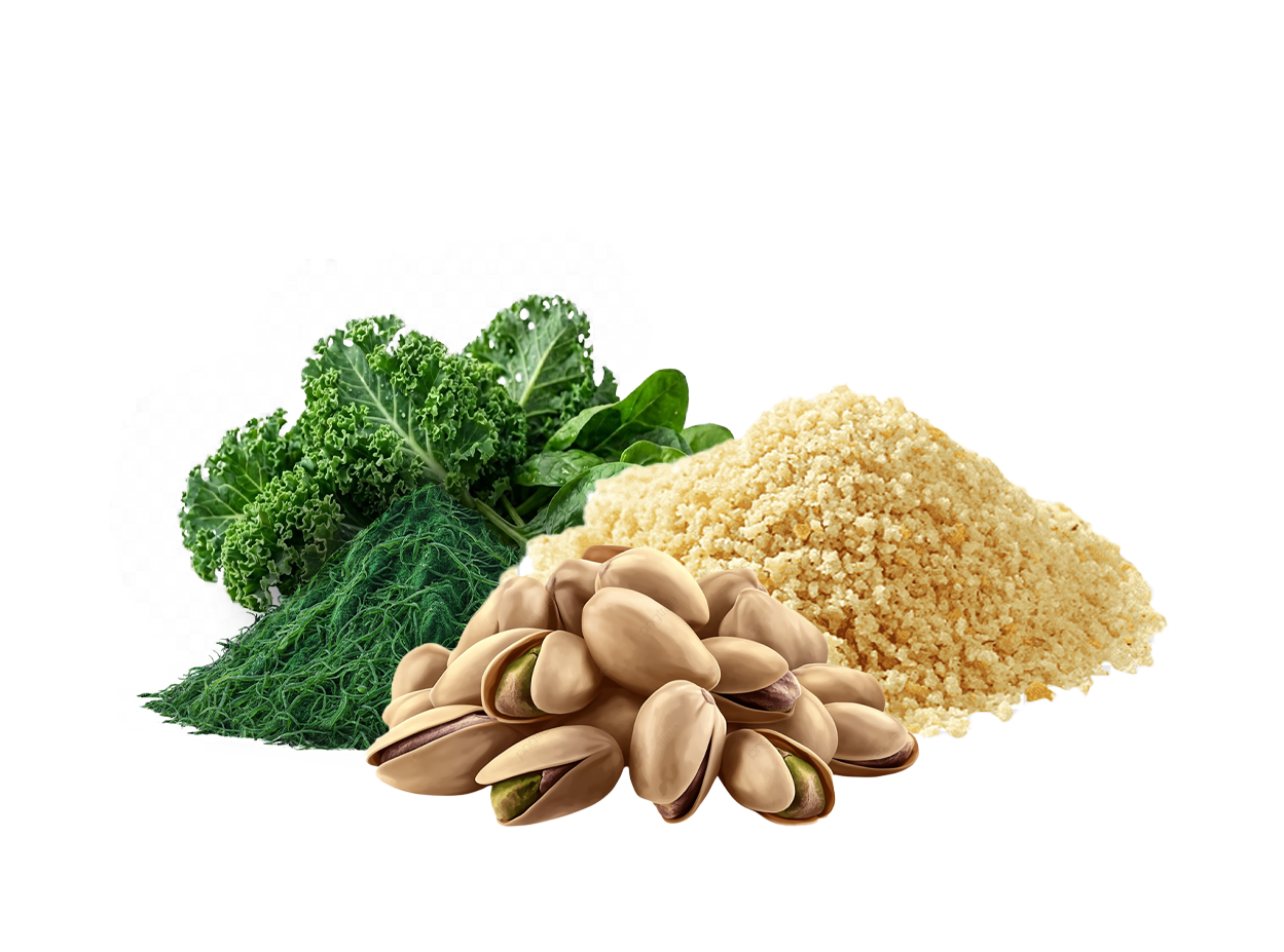 Vitamina B1 - Tiamina