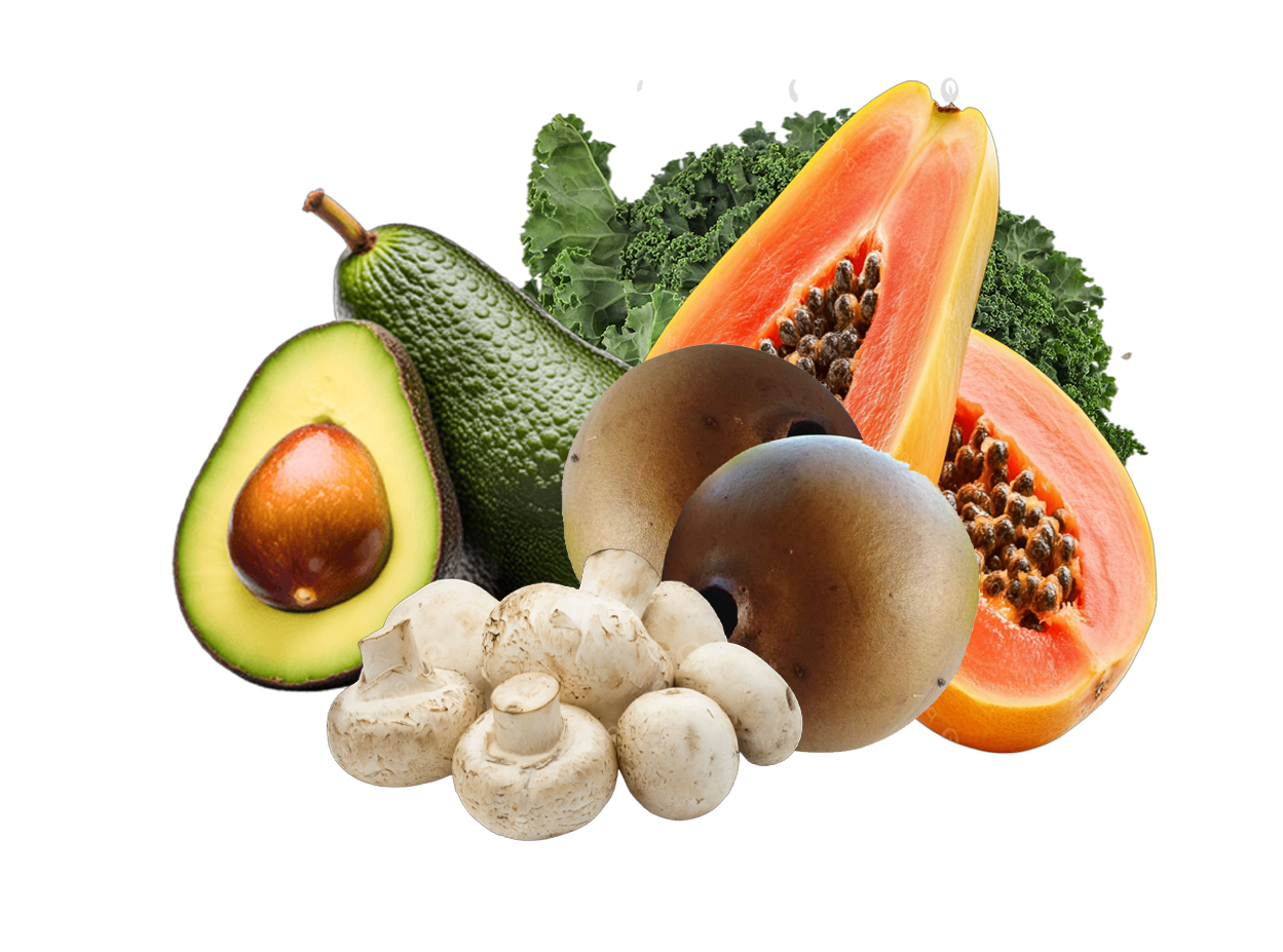 Vitamina B12 - Cianocobalamina