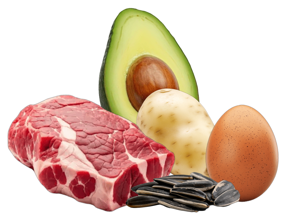 Vitamina B5 - Ácido pantoténico
