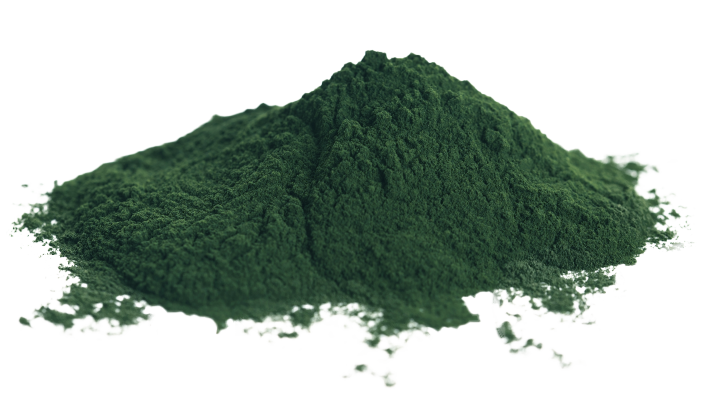 Chlorella