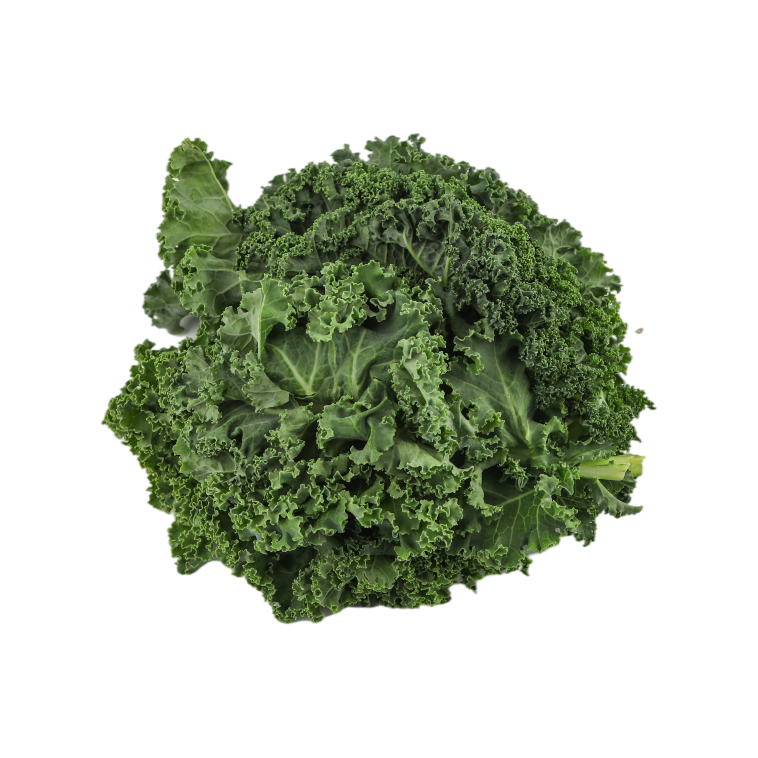 Kale en polvo